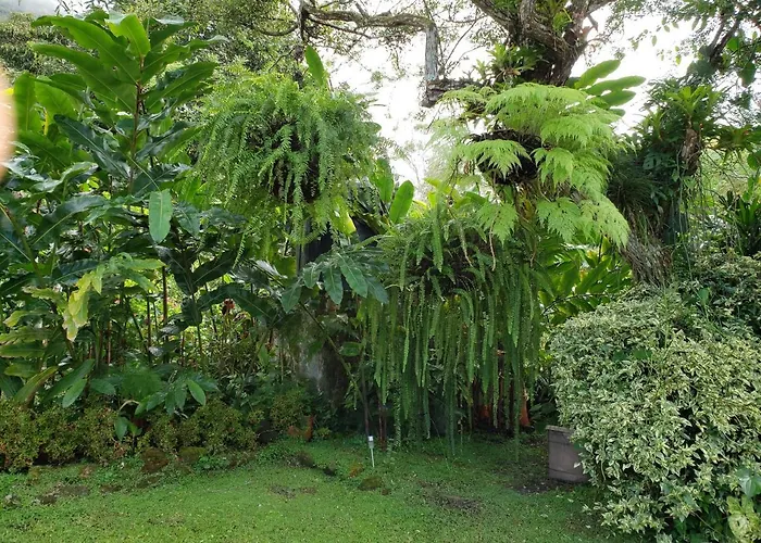 Villa San Antonio - El Valle De Anton