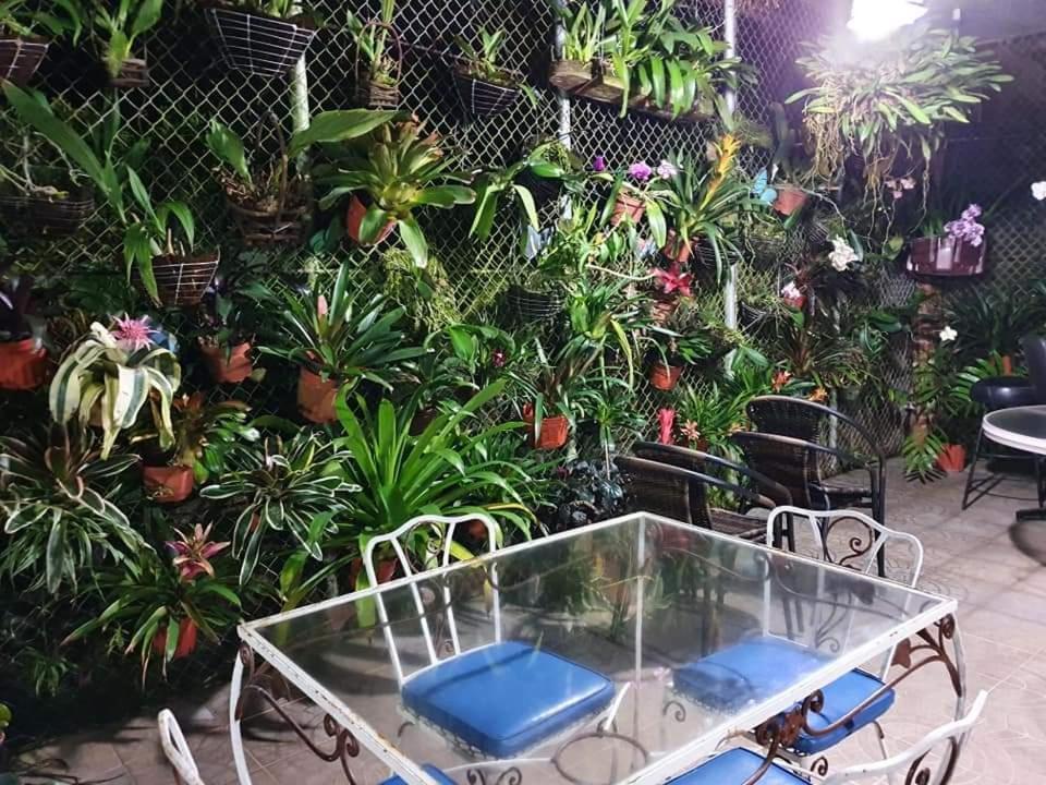 San Antonio - * El Valle de Anton